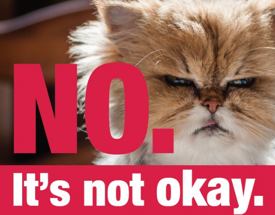 Motiv der Kampagne „No. It’s not okay. #mischdichein bei rechter Hetze“ zeigt Katze und den Titel der Kampagne.